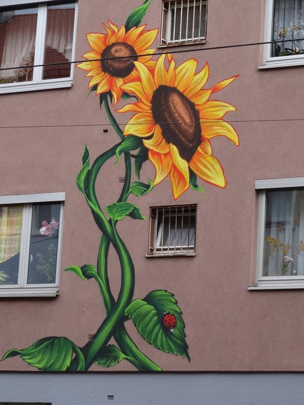 Haus Fassade in Nürnberg mit Bemalung