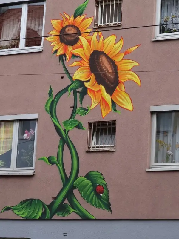 Haus Fassade in Nürnberg mit Bemalung